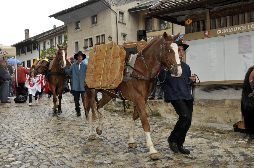 Gruyeres135