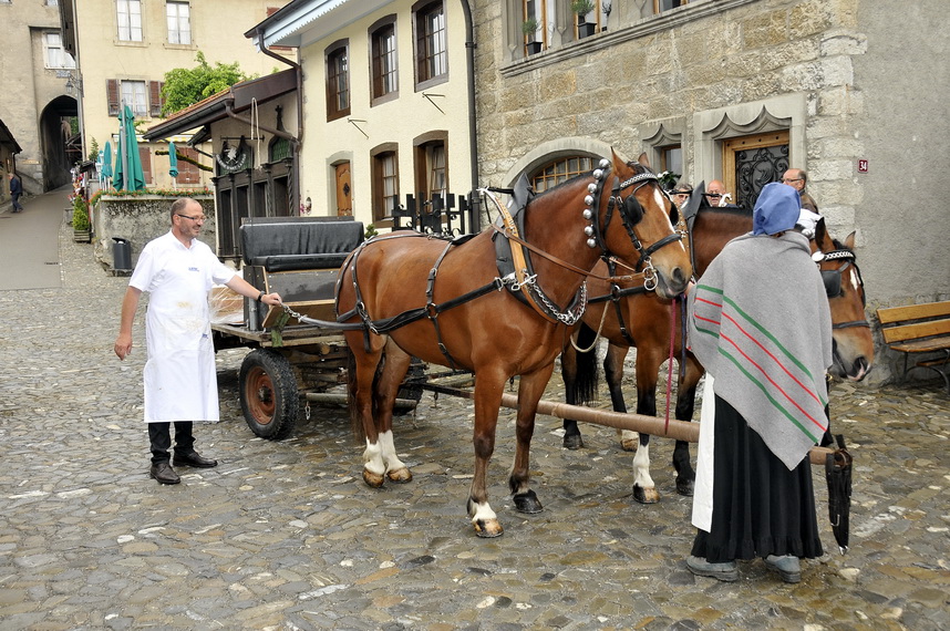 Gruyeres161