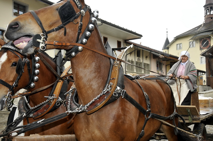 Gruyeres174
